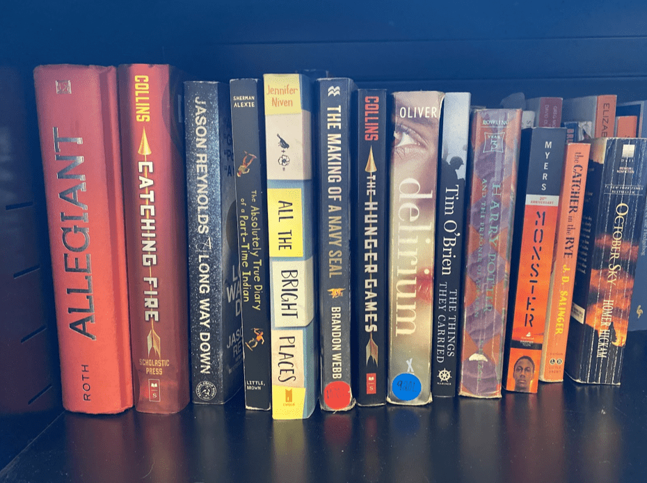 Row of popular books