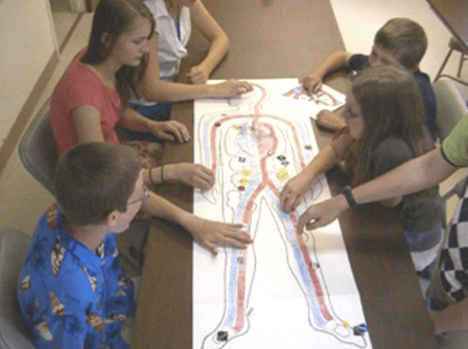Students playing the circulation game- circulatory system activities
