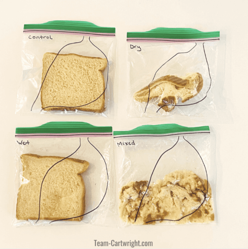 Different bags with bread inside of them