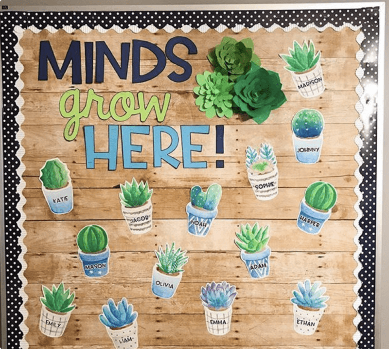 Bulletin board with words Minds grow here