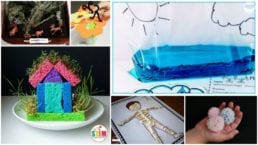 27 Fun and Easy Second Grade Science Experiments and Activities