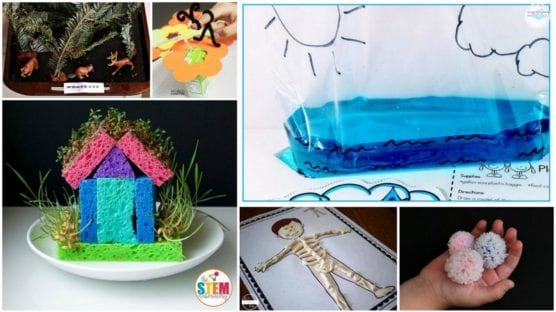 27 Fun and Easy Second Grade Science Experiments and Activities