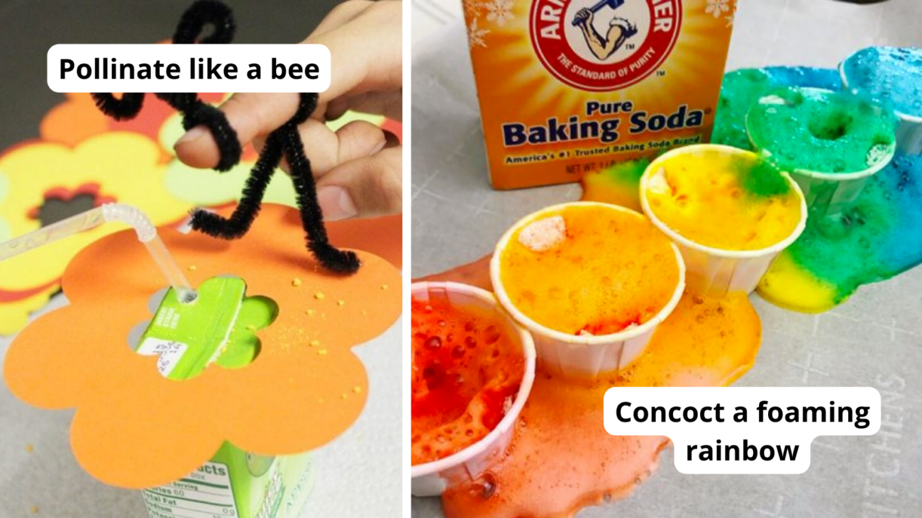 Second Grade Science Experiments Ideas