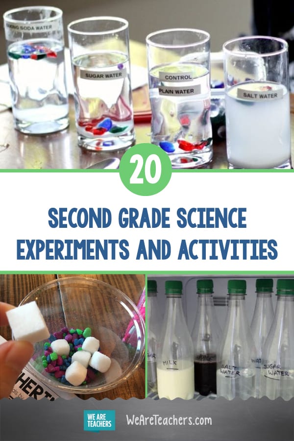 cool science experiments for 2nd grade