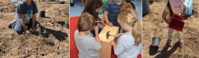 Second grade students from High Tech Elementary building beehives for service-learning project.