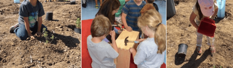 How To Start Service Learning Projects Aligned To Your School Curriculum