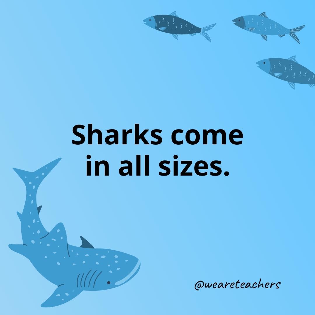 Facts About Sharks for Kids That Will Fascinate Your Students