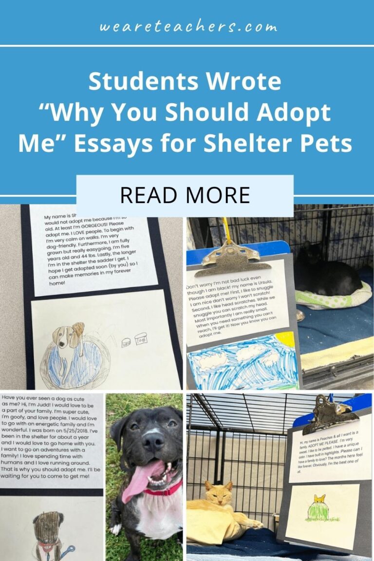 This Class Teamed Up With an Animal Shelter for Persuasive Writing