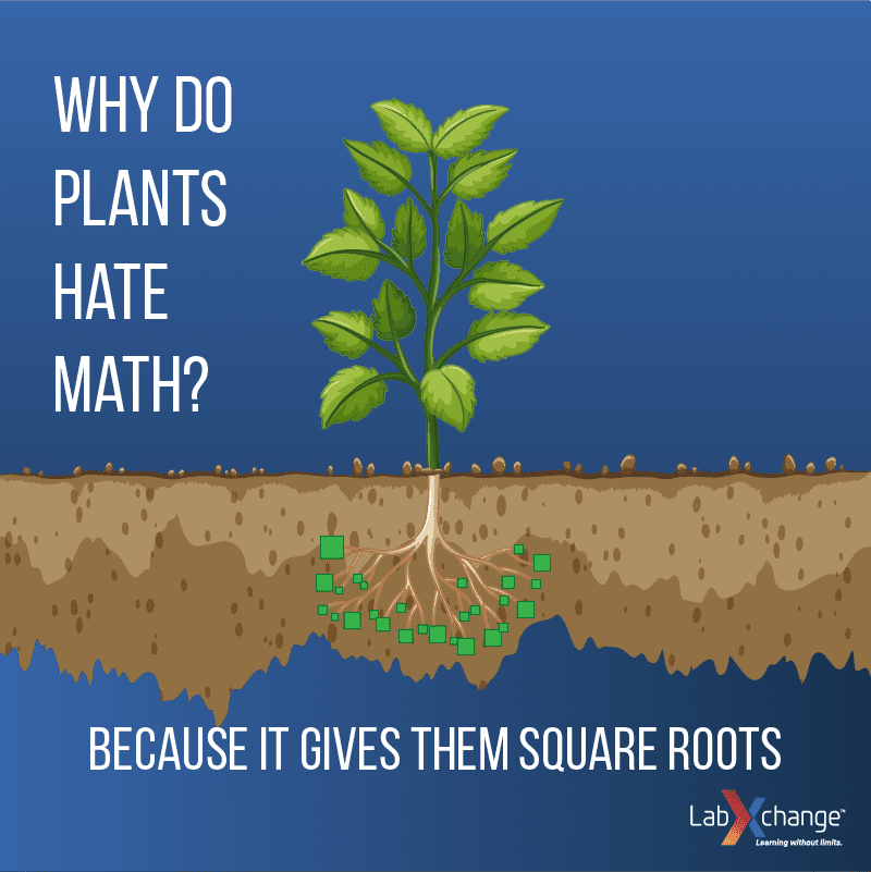 Why do plants hate math?