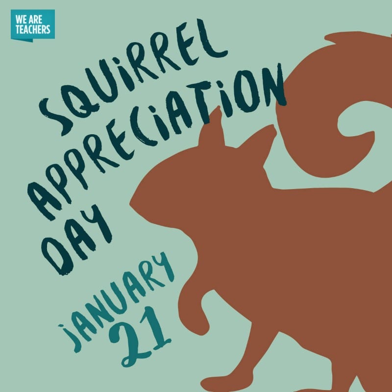 January_Holiday_Squirrel_Appreciation_Day