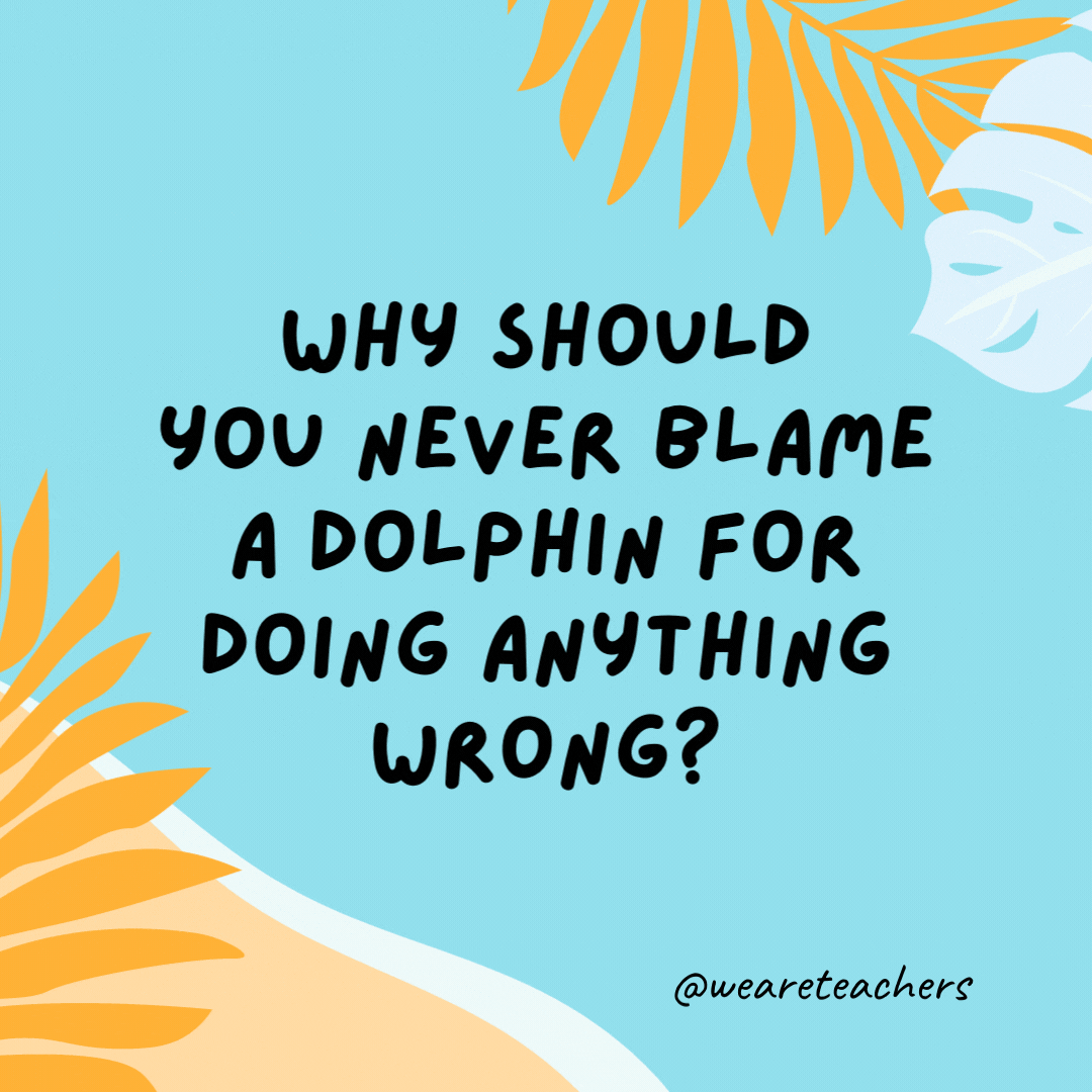 Why should you never blame a dolphin for doing anything wrong? Because they never do it on porpoise.
