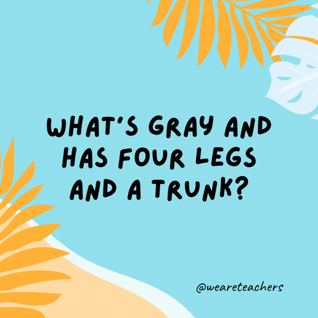 What’s gray and has four legs and a trunk? A mouse on vacation.