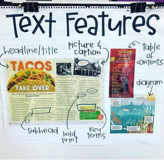 Text Features Anchor Chart 2nd Grade