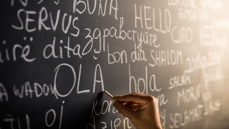 Teaching With Many Different Home Languages