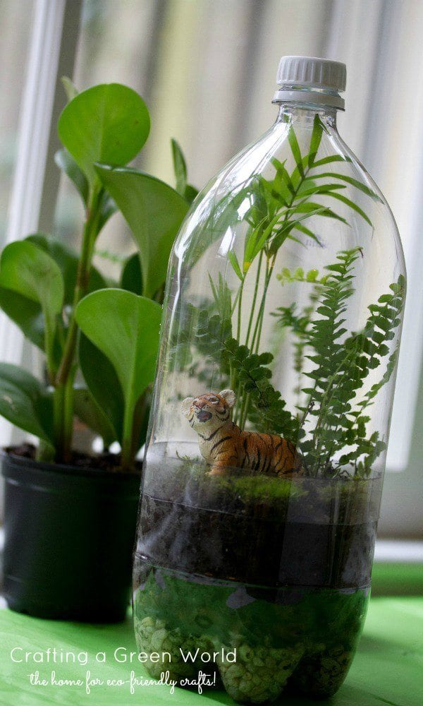 recycled soda bottle terrarium 