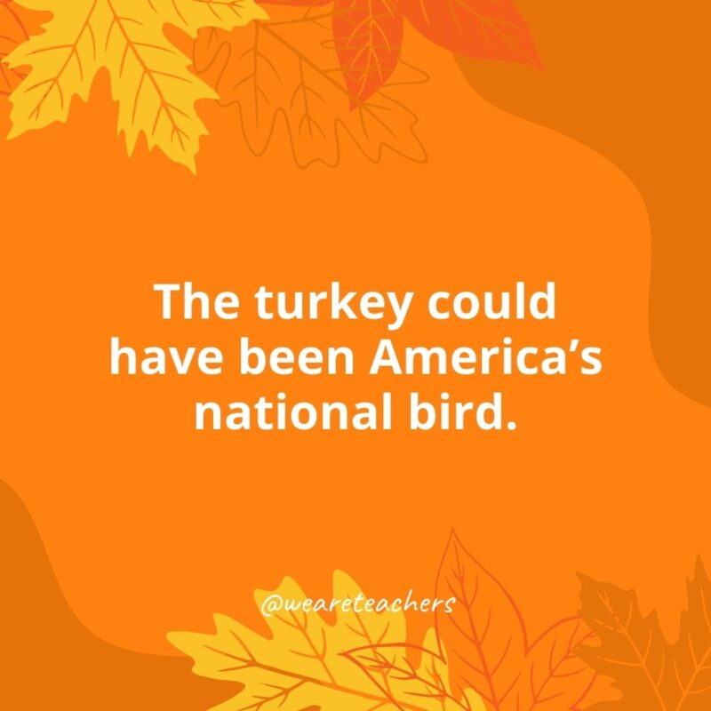 The turkey could have been America's national bird.