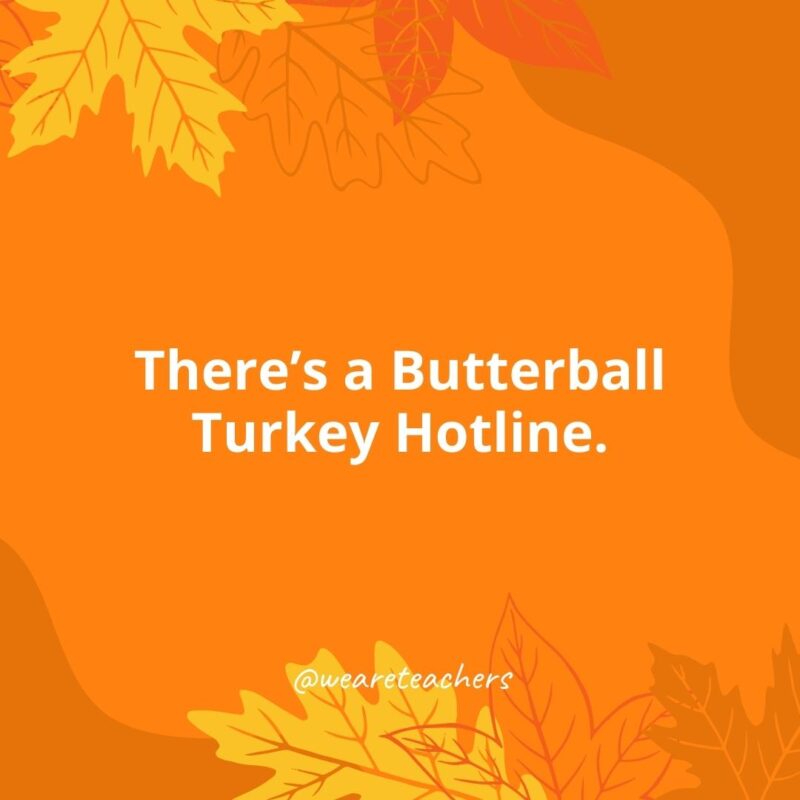 There's a Butterball Turkey Hotline.- Thanksgiving facts