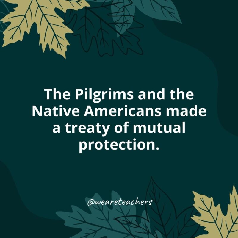 Los peregrinos y los nativos americanos firmaron un tratado de protección mutua.