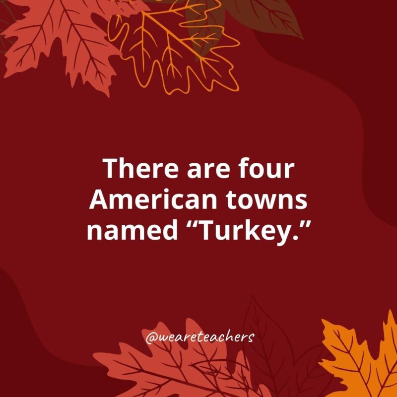 There are four American towns named “Turkey.”