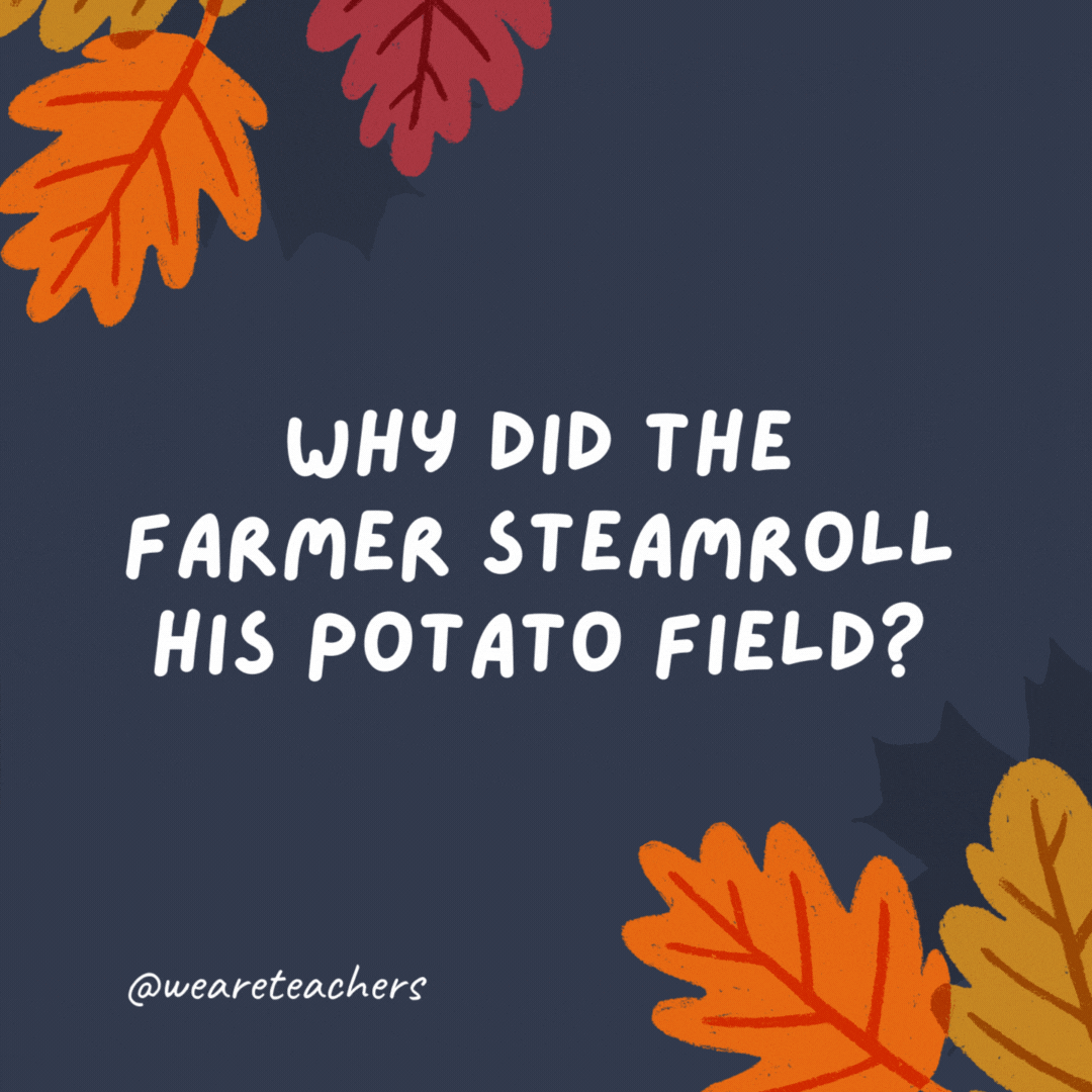 Por que o agricultor rolou sua plantação de batatas?  Ele queria purê de batatas.