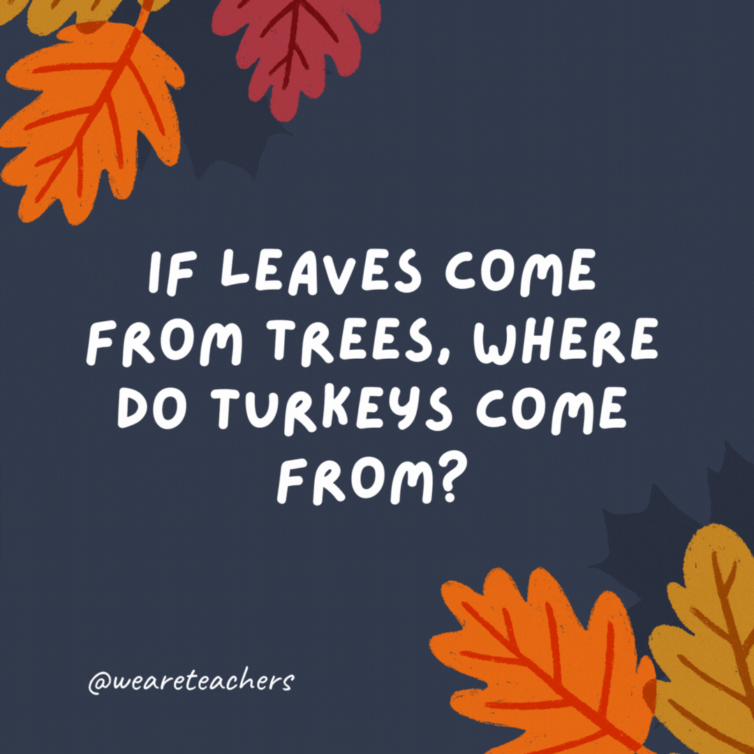Se as folhas vêm das árvores, de onde vêm os perus?  Aves.