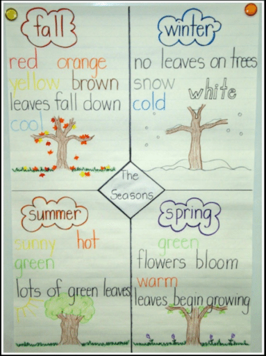22 Awesome First Grade Anchor Charts That We Can't Wait to Use