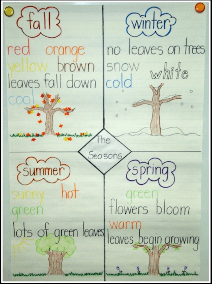 22 Awesome First Grade Anchor Charts That We Can't Wait to Use We Are