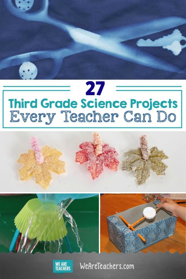 3rd Grade Science Projects for the Classroom or Science Fair