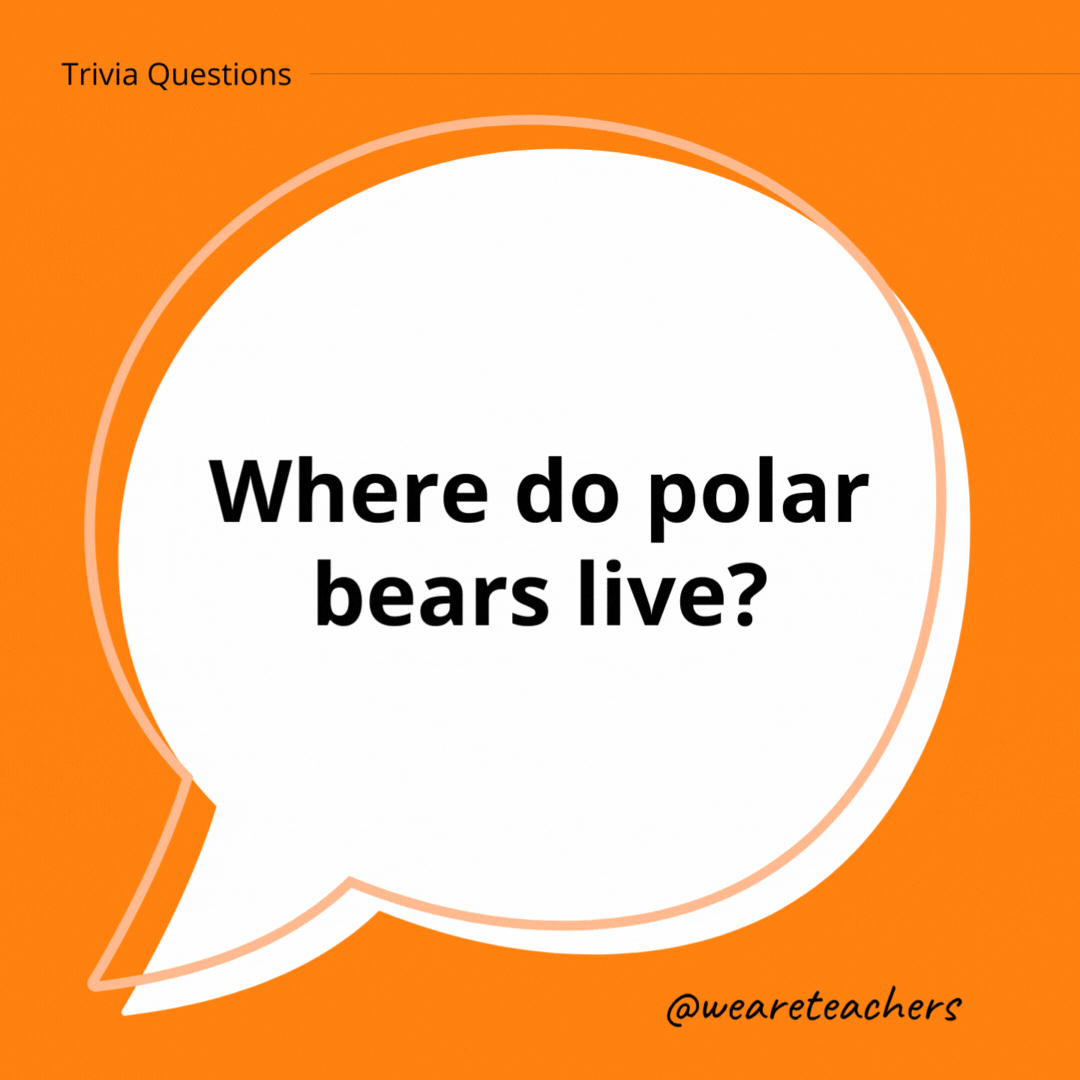 Where do polar bears live?