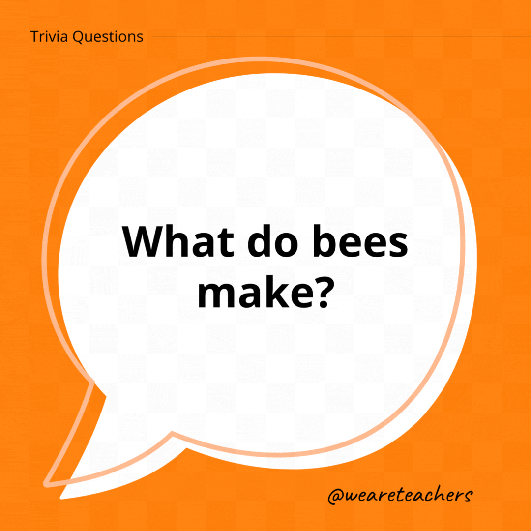 What do bees make?