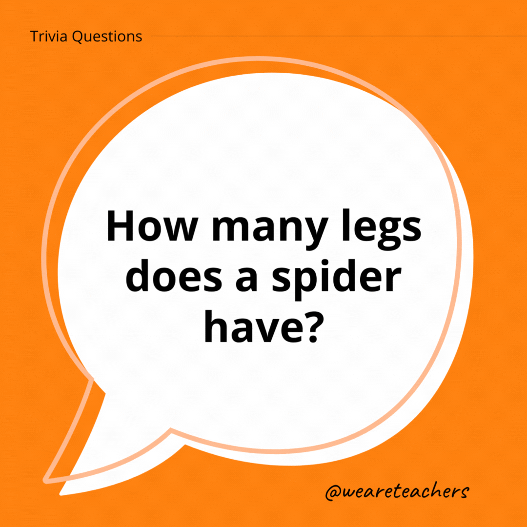 How many legs does a spider have?