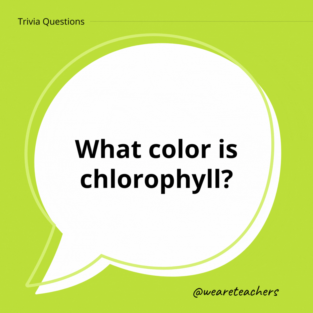 What color is chlorophyll?