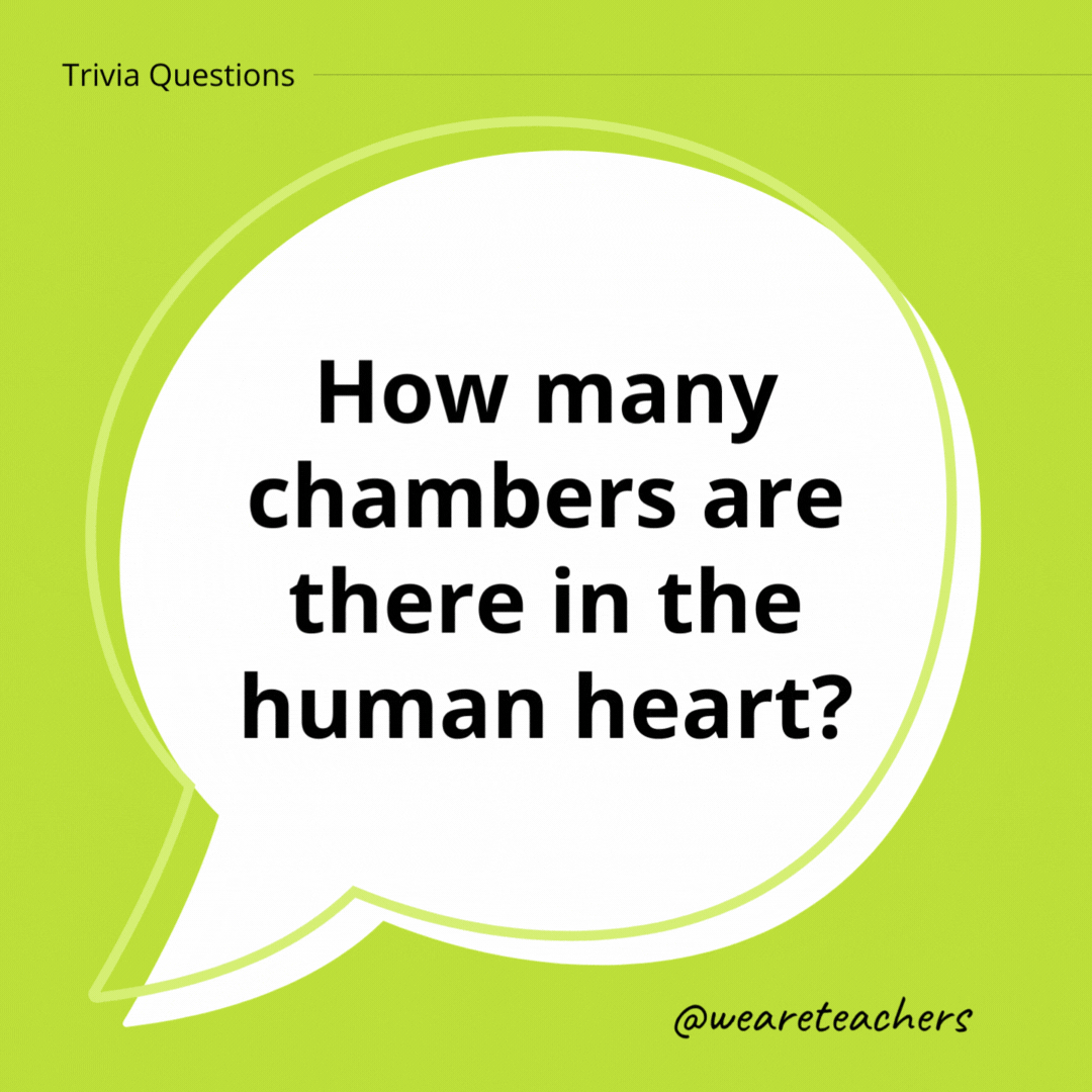 How many chambers are there in the human heart?