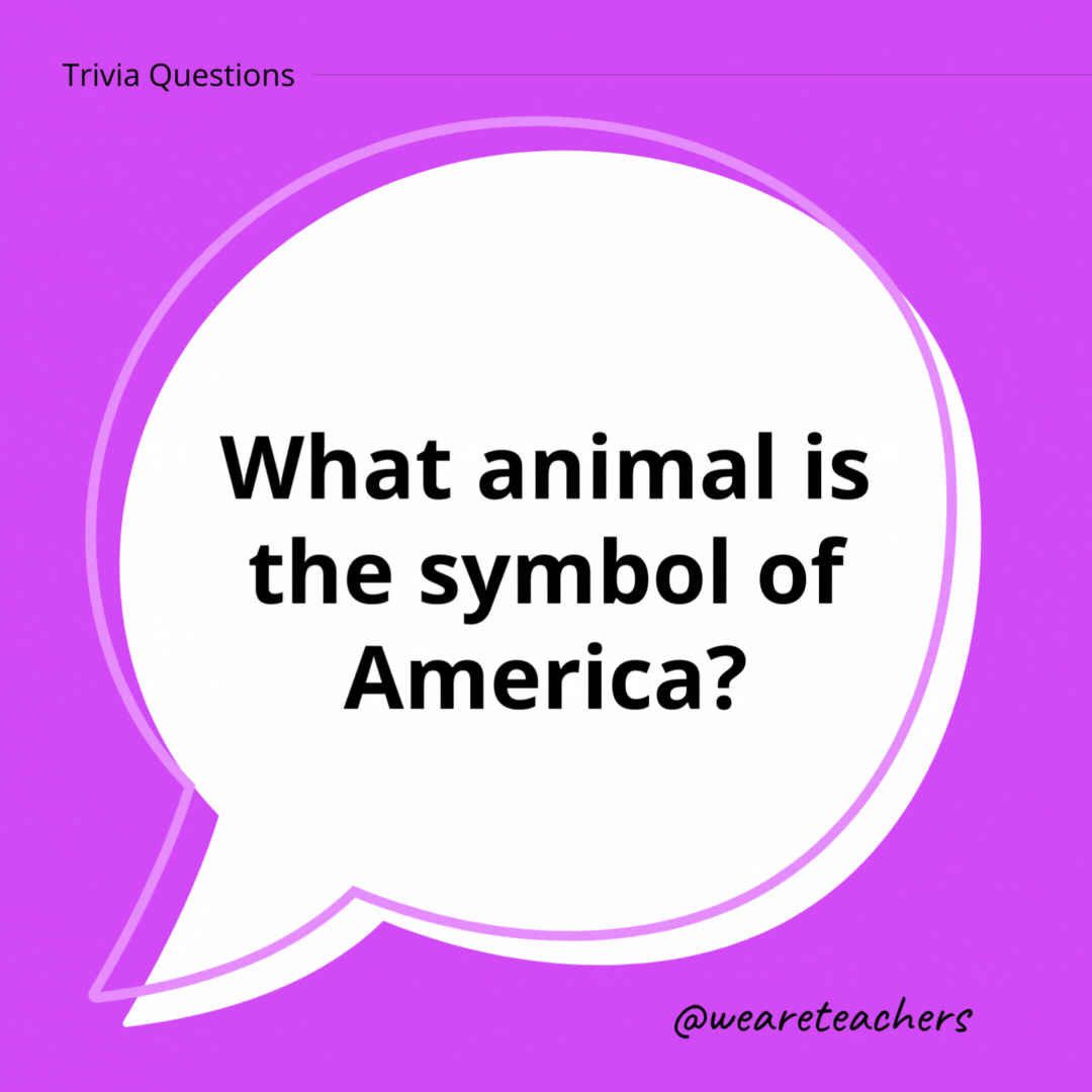 What animal is the symbol of America?