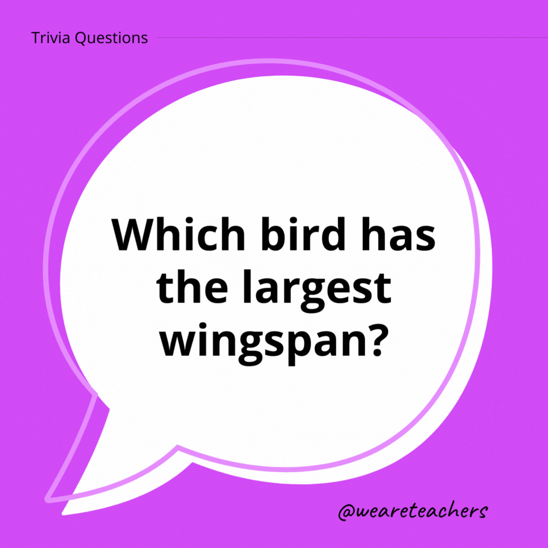 Which bird has the largest wingspan?