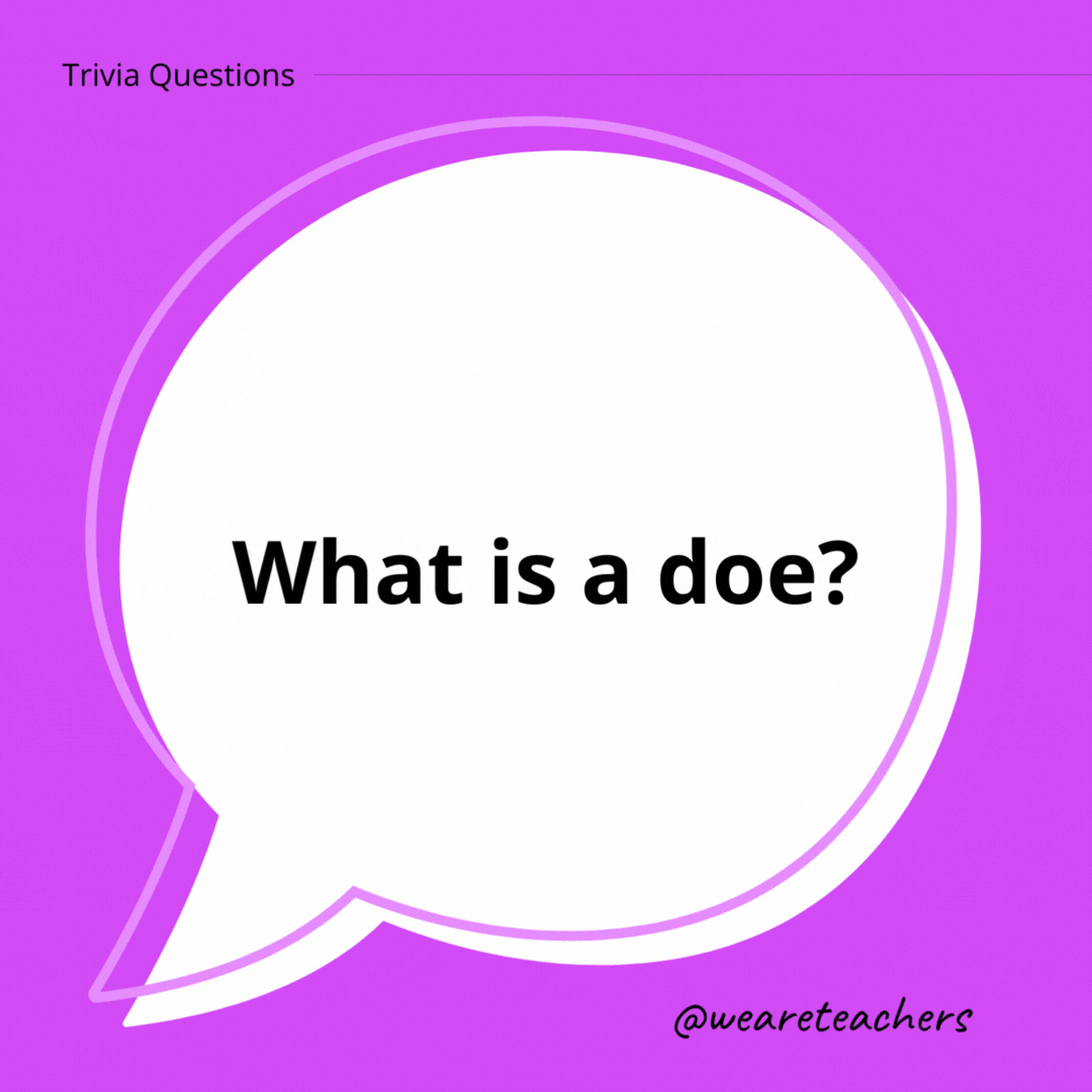 What is a doe?