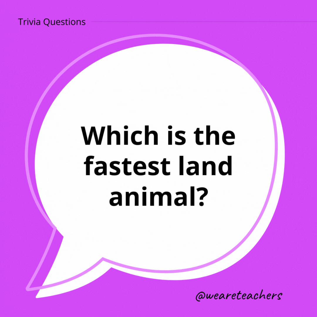 Which is the fastest land animal?