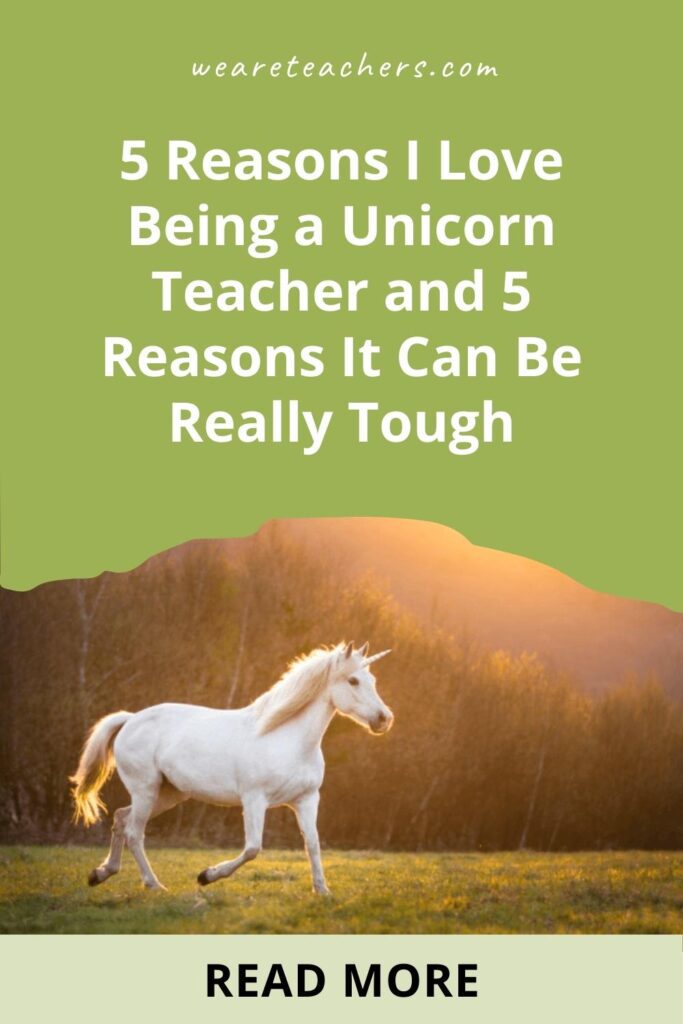The Best and Worst Aspects of Being a Unicorn Teacher