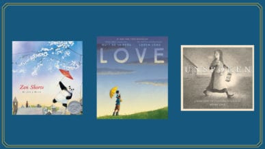Best Picture Books for High School English