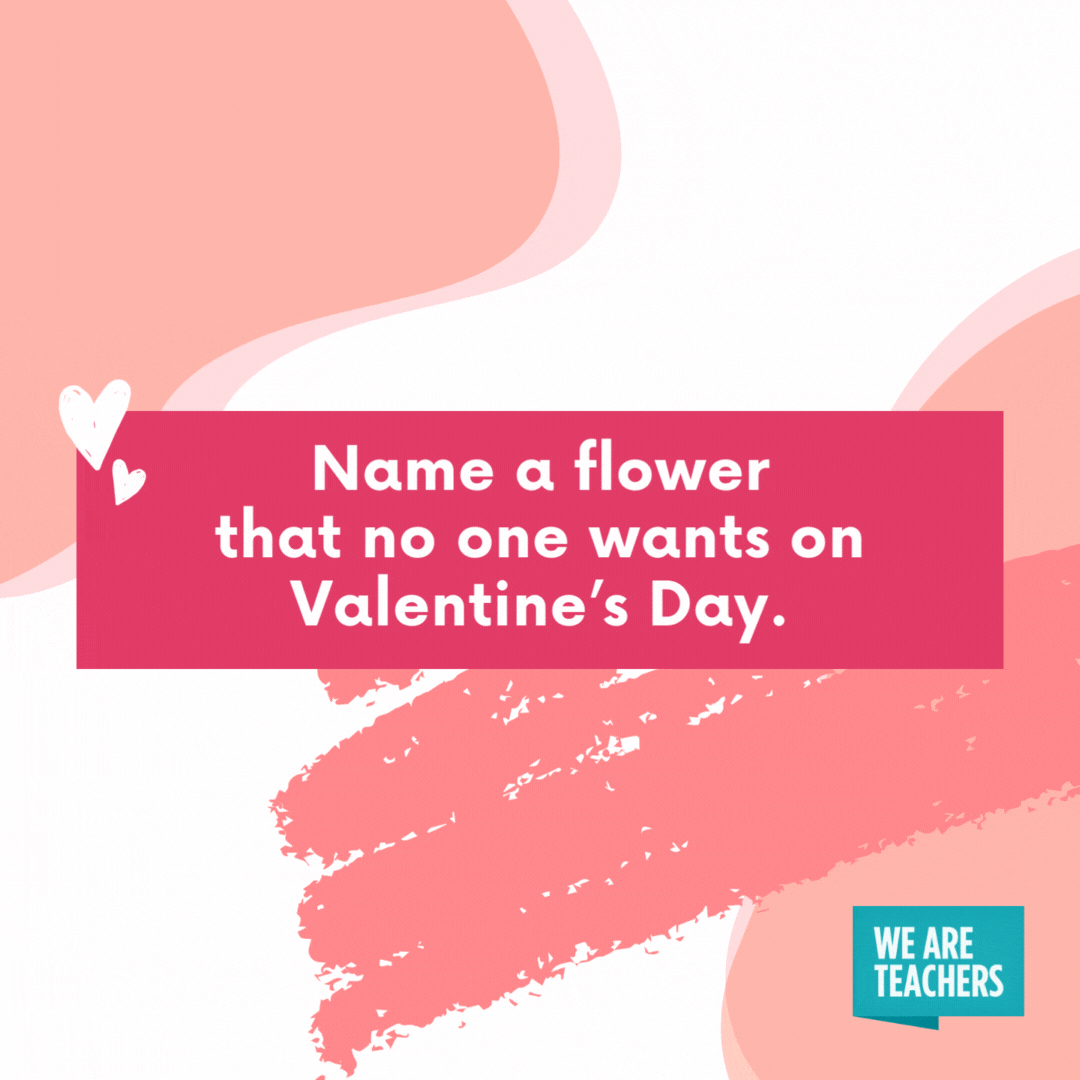 Name a flower that no one wants on Valentine’s Day. Cauliflower- valentine's day jokes.