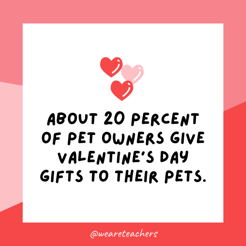 About 20 percent of pet owners give Valentine’s Day gifts to their pets.