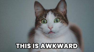 A cat with large green eyes with an awkward face saying, "This is Awkward."