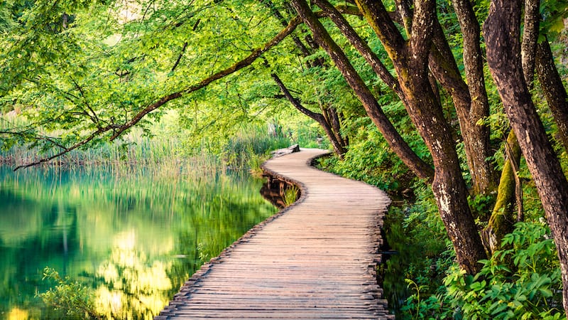 Plitvice National Park in Croatia, Europe with a colorful spring scene of green forest with pure water lake.
