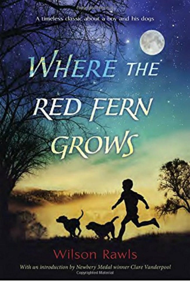 Book cover of Where the Red Fern Grows