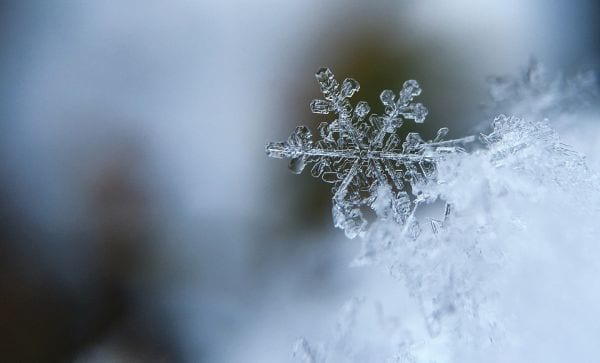 30 of the Coolest Winter Science Experiments and Activities