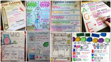 Collage of Writing Anchor Charts