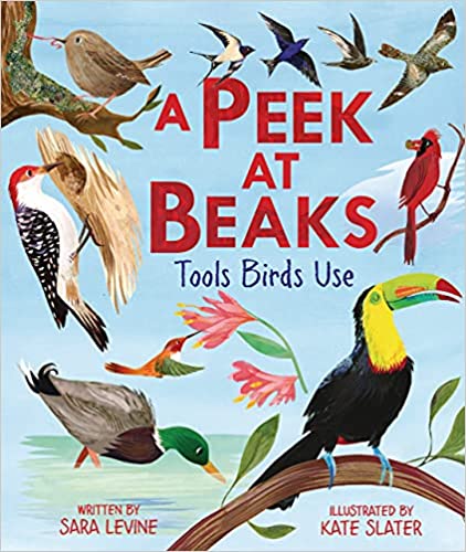 Book cover for A Peek at Beaks: Tools Birds Use