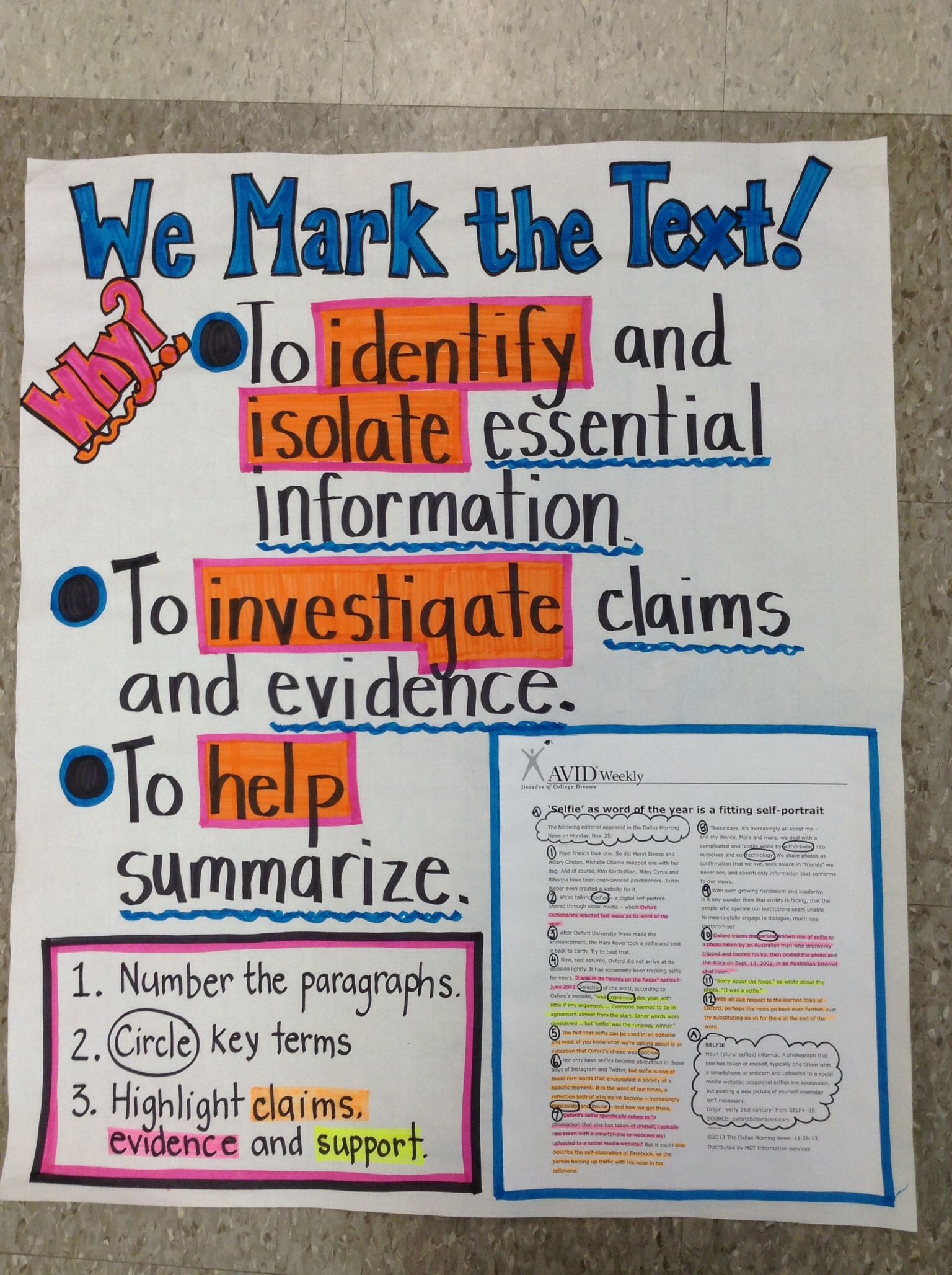 Evidence Based Terms Anchor Chart