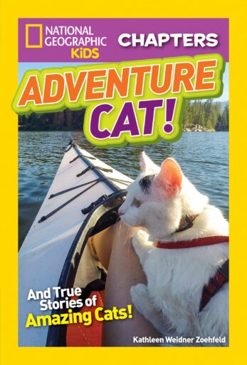 Macera Kedileri'nin kitap kapağı!  Kathleen Zoehfeld tarafından bir kayık üzerinde kedi fotoğrafı ile