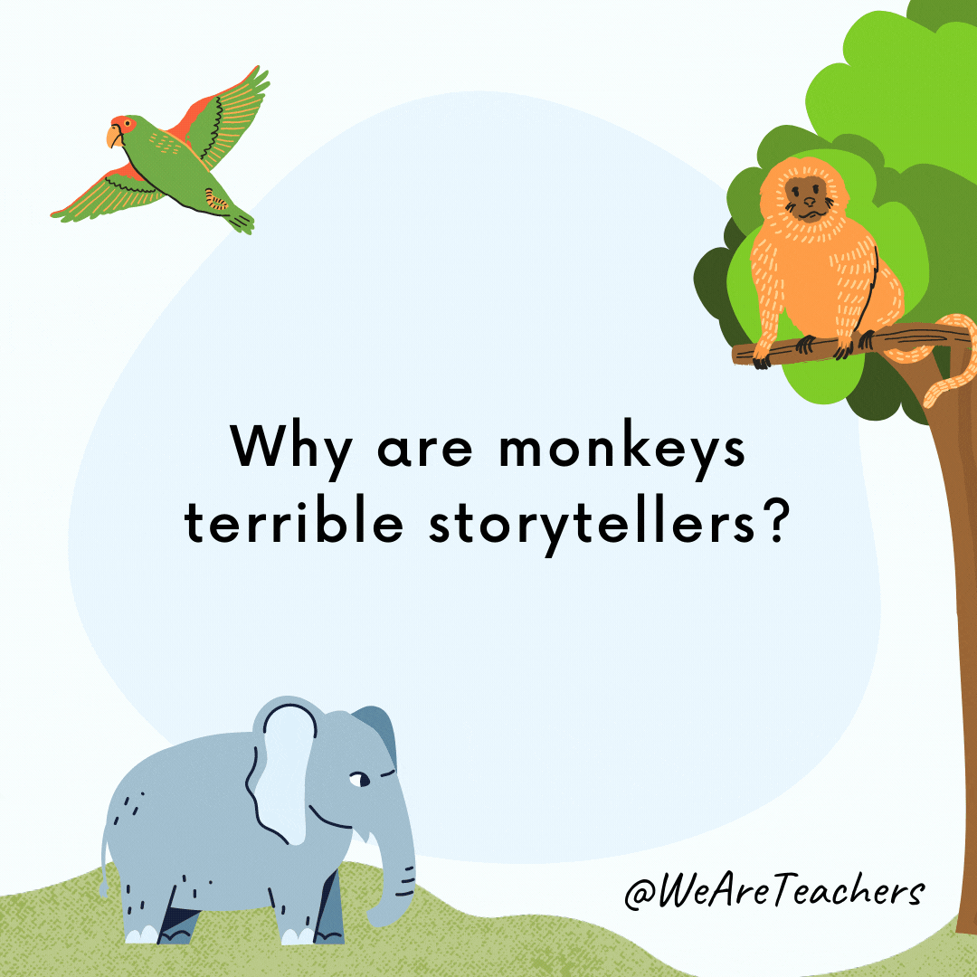 Why are monkeys terrible storytellers? Because they only have one tail.
